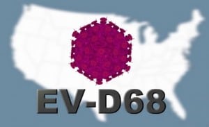 Enterovisur EV D68